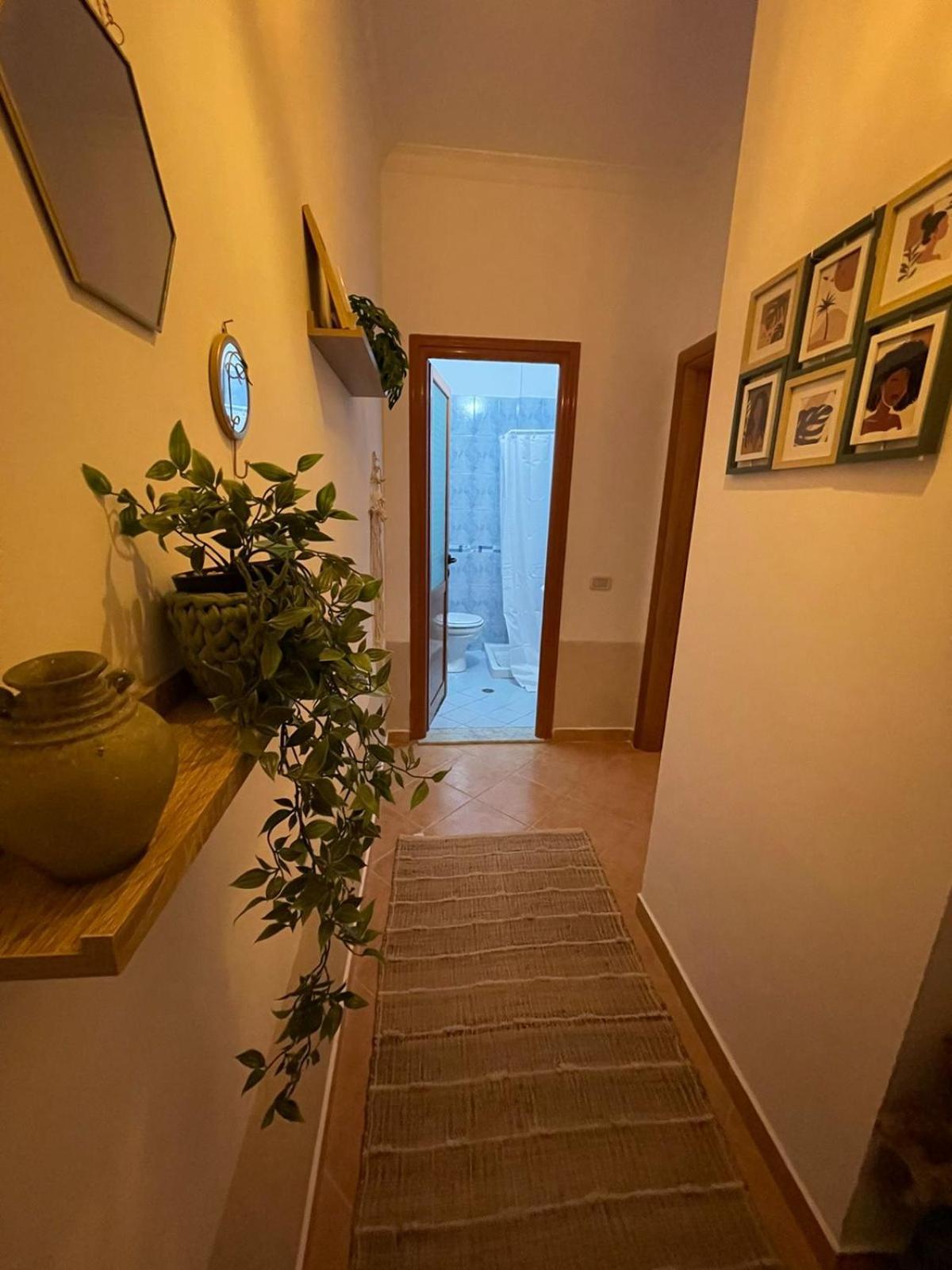 Valona Boho Apartment Vlorë Extérieur photo
